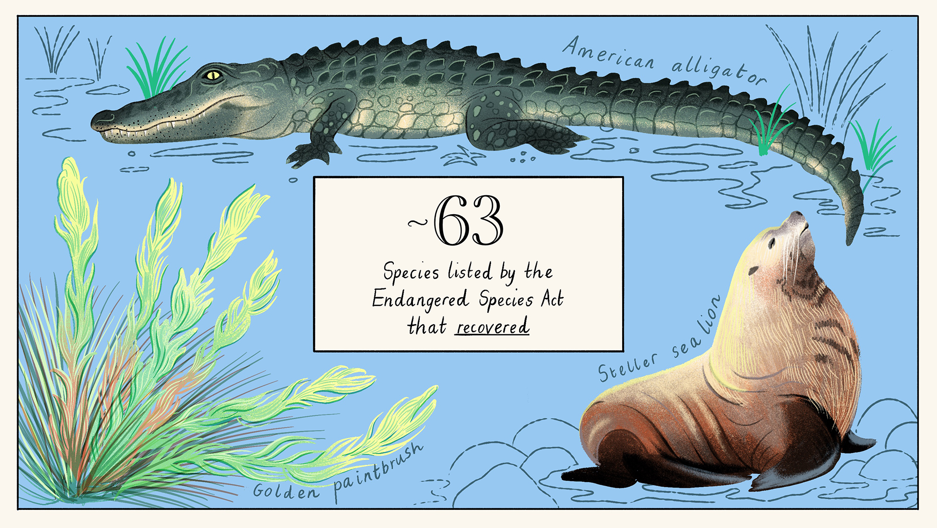 Data: US Fish and Wildlife Service. Eleanor Taylor for Vox